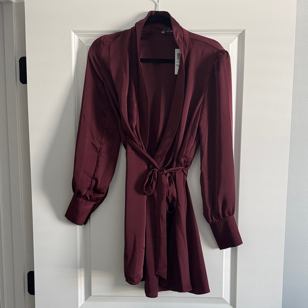 Aritzia Burgundy Mini Dress